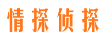 宝塔侦探调查公司